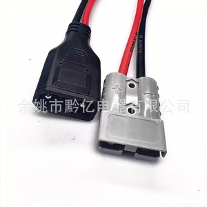 ESSAGER XT150 สายอะแดปเตอร์แบตเตอรี่ปลั๊ก DC 110V-250V PVC สำหรับอีโคโฟลว์ เดลต้า แม็กซ์ 2 3 - Product Image 5