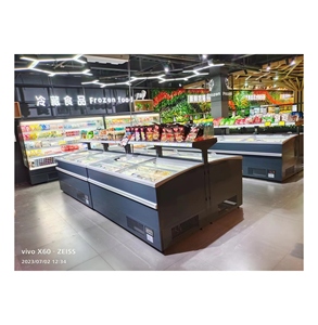 Equipo de refrigeración comercial Precio <span class=keywords><strong>barato</strong></span> Gabinete de exhibición fresco y congelador de pecho para venta al por menor - Product Image 1