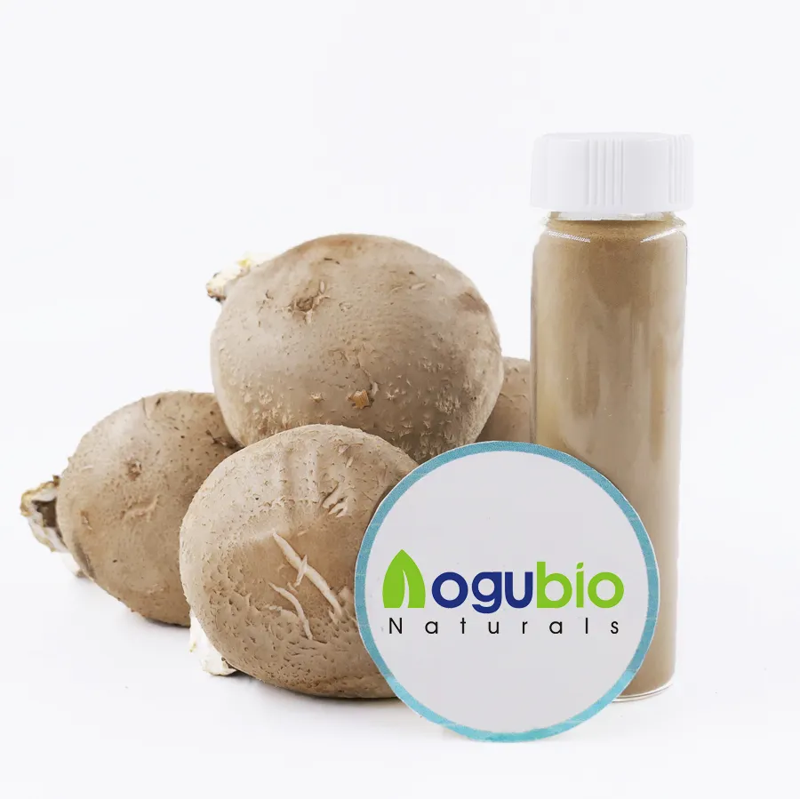 Hot Sale Natural Organic Lentinus Edodes Extract Powder Shiitake Mushroom Extract Powder
