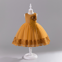 Robes tutu pour filles, vente chaude, robes tutu sans manches en tulle pour filles, ourlet en dentelle de haute qualité, robe de princesse tutu pour occasions spéciales
