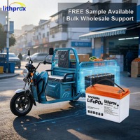 Batterie pour fauteuil roulant 12V300AH 3.6KWh LiFePO4 avec protection contre les surcharges, performance constante pour scooter et aide à la mobilité, certifiée CE