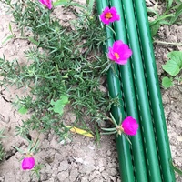 Treillis de jardin pour plantes grimpantes, piquets de support en acier au carbone plastifié pour tomates, haricots, concombres