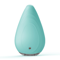 Usage domestique équipement de beauté visage brosse nettoyant sonique nouveau design brosse de nettoyage du visage pour 2021