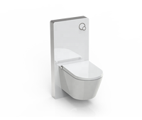 Toilette intelligente européenne 220v P piège suspendu au mur dame lavage bidet de toilette intelligent