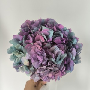 Couleurs dégradées stabilisées vraies fleurs d'<span class=keywords><strong>hortensia</strong></span> séchées préservées <span class=keywords><strong>hortensia</strong></span> à grandes feuilles pour les événements à la maison décor de mariage bricolage artisanat - Product Image 3