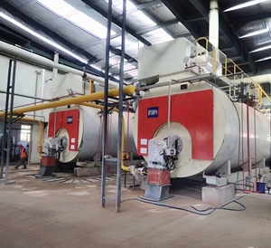 Type Dérapage-monté de 10 tonnes chaudière à vapeur de longue durée de vie de conception unique de chambre de <span class=keywords><strong>combustion</strong></span> de gaz naturel - Product Image 4