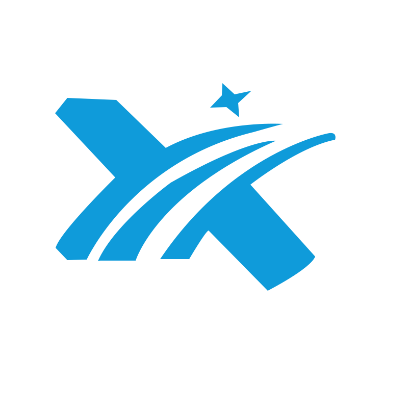 Dongguan Xizi Technology Co., Ltd. logo