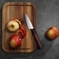 Couteau à éplucher en laiton de 3.5 pouces, couteau à éplucher en acier inoxydable, couteau japonais en cuivre damas pour éplucher les fruits, nouveauté