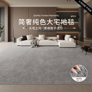 Alfombra de Alta Gama con Textura Suave de Terciopelo, Color Sólido, Rectangular, Antideslizante, para Uso Doméstico, Fibra de Poliéster - Product Image 2
