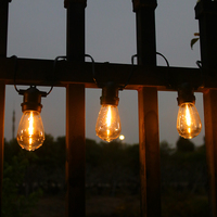 Guirlande lumineuse décorative pour la maison, 48 pieds, ampoules S14, type globe, étanche, avec douilles E27