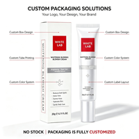 Crème Visage Éclaircissante Anti-Taches Formule Personnalisée Emballage Personnalisé Élimination des Taches de Rousseur Correcteur de Taches Vegan Nuit Tous Types de Peau