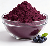 Blauwe Bosbes Extract Poeder 10:1 Natuurlijk Anthocyanine Rijk Bulk Voedingsmiddelkwaliteit Fruitpoeder Groothandel OEM Supplement Ingrediënt