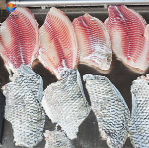Máquina desescamadora de pescado FENGXIANG FGB-400 semiautomática 30-50 piezas/min de acero inoxidable para uso comercial - Product Image 5