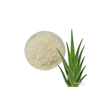 Poudre d'aloe vera lyophilisée concentrée 100:1, extrait d'aloe vera, gel d'aloe vera lyophilisé - Product Image 1