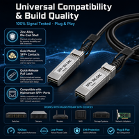 Câble DAC SFP+ 10G 1m 3m 5m 7m Câble en cuivre passif à connexion directe Construction coaxiale Twinax pour connexion serveur et switch