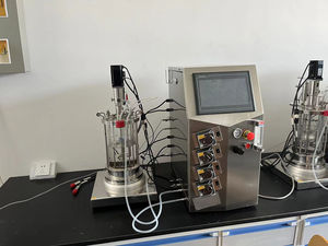 बायोरिएक्‍टर 5 एल फिक्स्ड बेड बायोरिएक्‍टर यू 2024 - Product Image 4