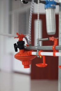 Chất Lượng Cao Bán Buôn Tự Động Gà Trung Chuyển Gia Cầm Thiết Bị Nông Nghiệp Waterer Uống Đôi Núm Vú Uống - Product Image 5