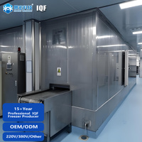 Kingcold Industriële Blast Freezer voor vruchten, groenten, vis, diepvriesproducten, luchtgekoelde blastvriezer, shockvriezer -45°C ℃