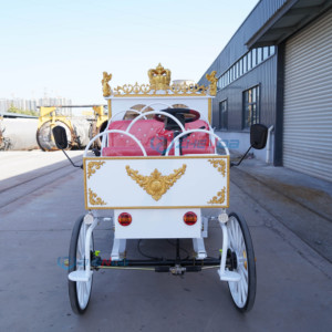 Chariot de transport touristique électrique ou à chevaux, type calèche européenne, pour mariages et événements spéciaux - Product Image 5