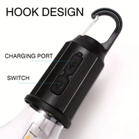 Usine En Gros Camping En Plein Air Tente Solaire Jardin Lumière LED Éclairage ABS Corps Portable Charge Rétro Tungstène Filament Ampoule