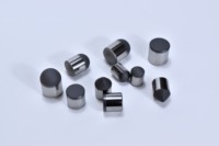 2026 Drillsoltek Premium Brocas PDC para Perforación Geológica con Insertos Compactos de Diamante para Perforación de Pozos y Roca