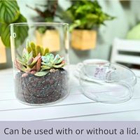 Pot de terrarium en verre de 6x9 pouces, plante d'intérieur avec couvercle pour succulentes, cactus, fougères, mousse de fée - Design transparent élégant