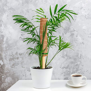 Poteau en fibre <span class=keywords><strong>de</strong></span> coco pour plantes grimpantes, support <span class=keywords><strong>de</strong></span> jardinage et extension <span class=keywords><strong>de</strong></span> croissance - Product Image 5