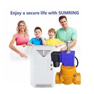 Valvola di intercettazione GPL di emergenza B2B Premium, a sfera in rame con tenuta a zero perdite, 100kPa AC220V, Prodotto per Sicurezza e Protezione - Product Image 6