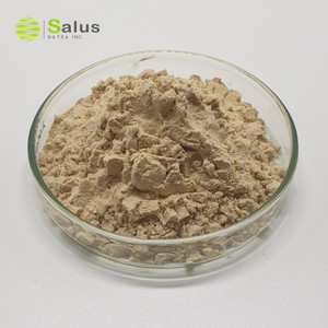 फैक्टरी थोक 30% 50% मशरूम बीटा ग्लुकन - Product Image 3