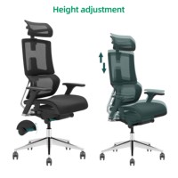 Chaise de bureau ergonomique moderne à dossier haut, réglable, testée BIFMA, pour personnel, bureau, ordinateur, espace de travail professionnel, bureau à domicile