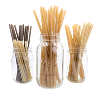 Paille à boire biodégradable en bagasse avec logo personnalisé Emballage unique jetable de qualité alimentaire en plastique biodégradable pour les repas en camping