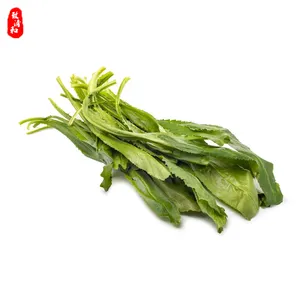 Chinese Traditional Bulk Green Tea Tai Ping Hou Kui with Private Label