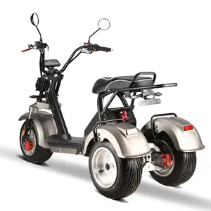 3 wheel electric scooter best supplier 1500W 60v lithium battery three wheel electric scooter citycoco electric tricycle