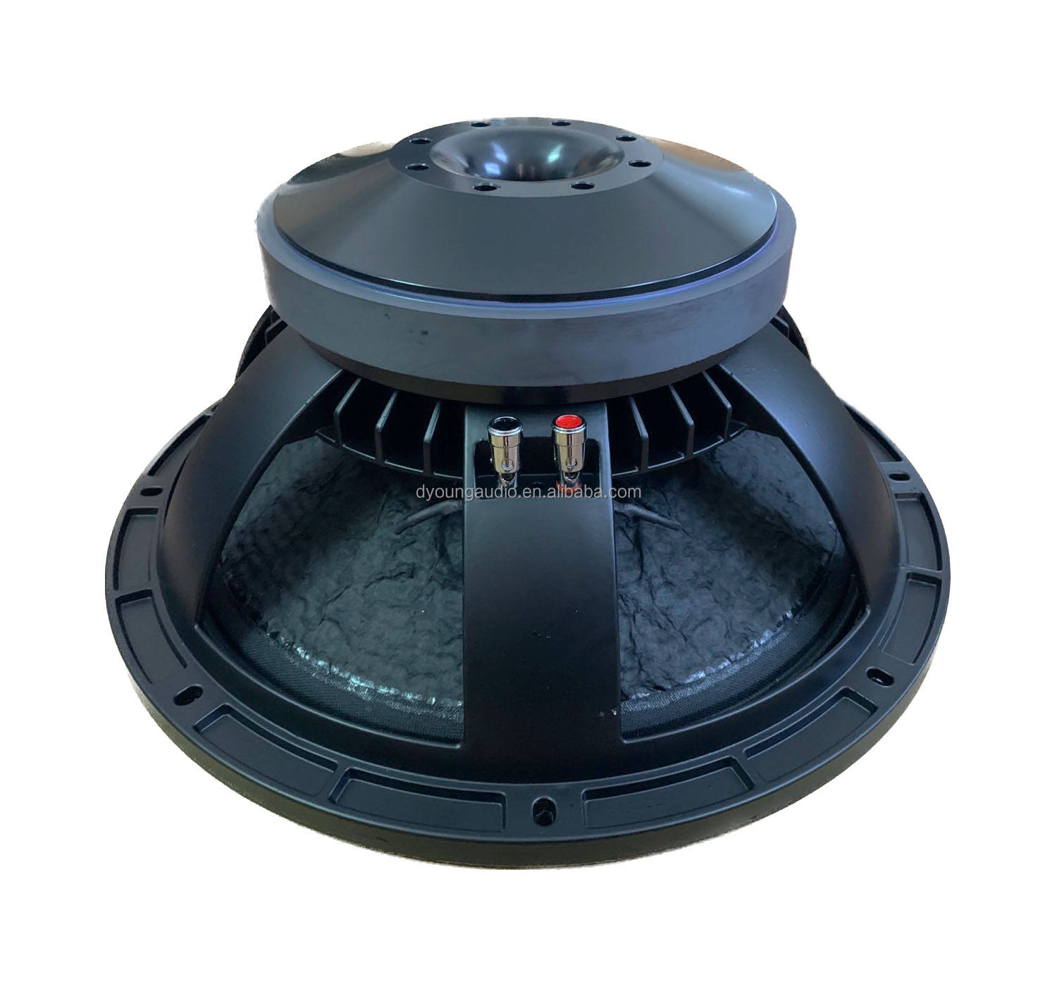15 Inch 220 Mm Magnet 100 Mm Voice Coil DJ Pro Audio System