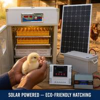 Incubateur d'œufs industriel à énergie solaire entièrement automatique avec batterie de panneau solaire pour poulet, canard, d'oie, caille