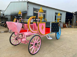 Calèche royale motorisée de luxe pour mariage à vendre pour les parcs d'attractions, électrique - Product Image 3