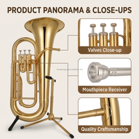Factory Supply Brass Instrument All Kinds Brass Musical Instruments Bb Key Tuba for Sale
