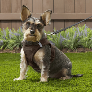 Mudah dibersihkan bulu Harness tali leher anjing Set rompi hewan peliharaan bundel bulu kelinci harnes anjing dengan rilis cepat - Product Image 4