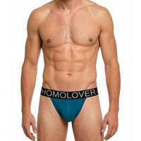 Herenslipjes Tanga, laag uitgesneden sexy bikini ondergoed met merk elastische tailleband, ondersteunende pouch heren onderbroek
