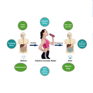 Biểu Tượng Tùy Chỉnh 380Ml 304 Thép Không Gỉ Chân Không Nước Kiềm <span class=keywords><strong>Flask</strong></span> Cho Du Lịch Xách Tay <span class=keywords><strong>Tourmaline</strong></span> <span class=keywords><strong>Alkaline</strong></span> Năng Lượng Uống Chai - Product Image 5