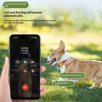 Collier de localisation GPS pour chien et chat, anti-perte, étanche, avec suivi en temps réel, en plastique