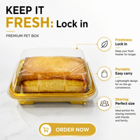 Boîte en plastique transparente sur mesure pour présentation de mini-desserts en vente au détail