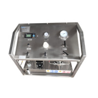 Equipo de Prueba de Presión Hidrostática Neumático de Doble Cabezal con Pantalla Digital de hasta 20000 psi para Pruebas de Mangueras