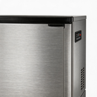 Macchina Professionale per Blocchi di Ghiaccio in Acciaio Inox con Compressore Industriale, Alta Produzione 150kg per Hotel 5 Stelle