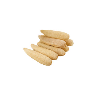 Old Loofah <b>Sponge</b> Dishwashing Scrubber Rectangle Shape Kitchen Use With Rope <b>Handle</b> YG88338 - Product Image 5