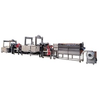Iqf Bevroren Groente Fruit Wassen Blanching Verwerking Machine Lijn Lijie Merk Ljds2000 Model 380V Multifunctionele Motor Hoog