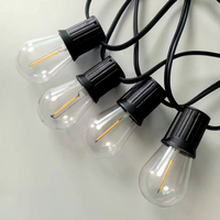 Lampes LED Festoon Extérieures E26 E27 Base S14 G45 Résistantes à l'Eau pour Noël, Bivouac, Jardin, Célébrations et Festivals
