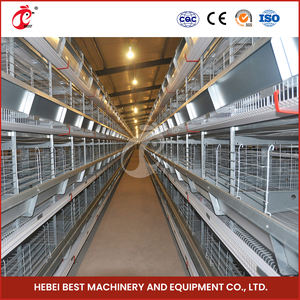 Fabbricazione di gabbie per galline ovaiole cina H tipo pollaio gabbia a strati di pollo in legno di alta qualità con buona ventilazione - Product Image 5