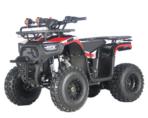<span class=keywords><strong>Quad</strong></span> 125cc à essence pour adultes, 2 roues motrices, tout-terrain, <span class=keywords><strong>prix</strong></span> direct usine Chine, moto tout-terrain pas chère à vendre - Product Image 3