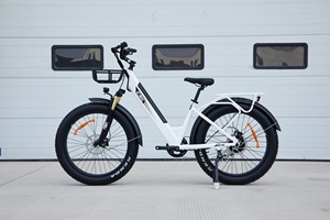 <span class=keywords><strong>Oferta</strong></span> Especial 48V Fat tire City <span class=keywords><strong>ebike</strong></span> 14ah 26 pulgadas Kenda Fat tire electrica bicicleta 750W step through electric City bike - Product Image 6